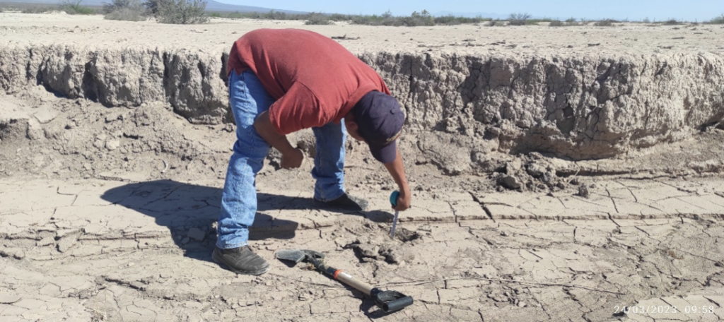 Medición del sedimento acumulado en las presas de gaviones. Ejido Hipólito, Ramos Arizpe, Coahuila. Marzo 2023