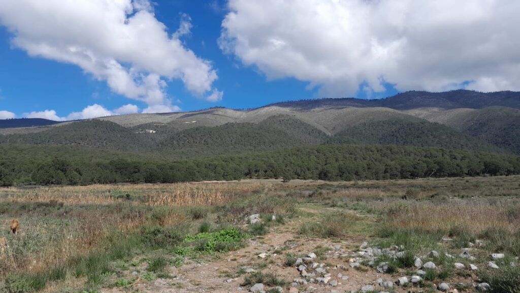 Area quemada en el ejido Santa Clara de Ciénega